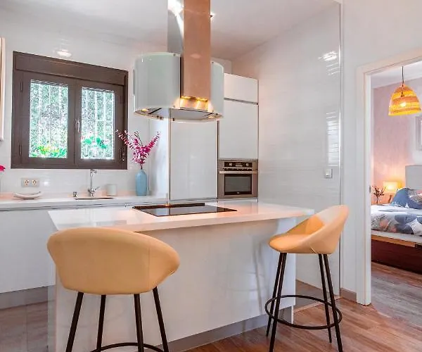 Apartamento Edomus Gran Plaza Boutique *